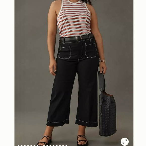 Anthropologie Maeve Colette Magic Stretch Wide Leg Pants Cropped Plus Size EUC - Picture 1 of 15